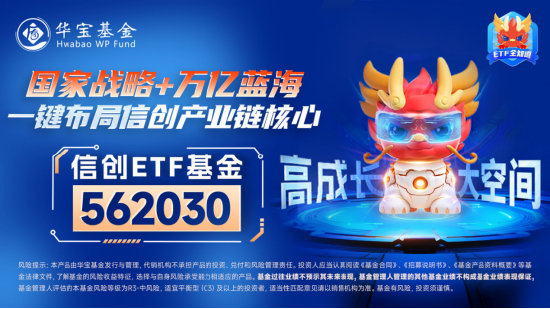 算力！还是算力！中科曙光涨超5%，信创ETF基金（562030）盘中暴拉3%，机构：算力国产化或是科技自强主线！  第5张